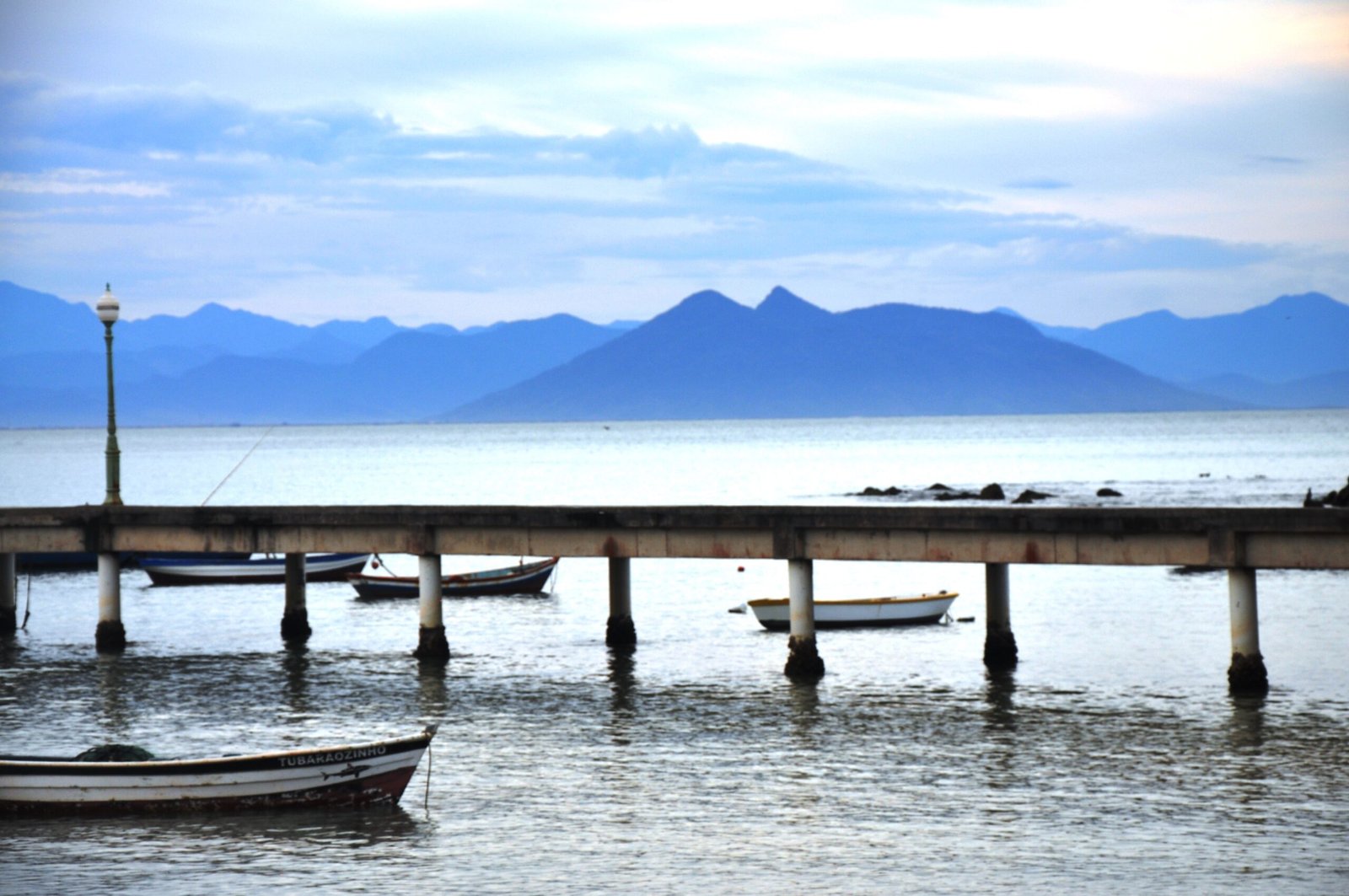 ????????????????????????????????????