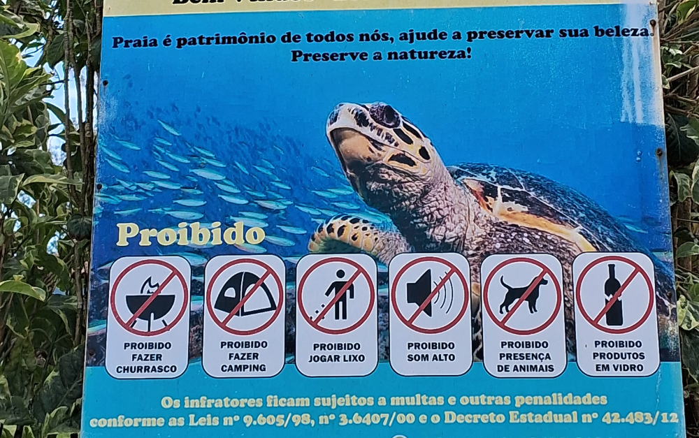 Diseño sin título (17)