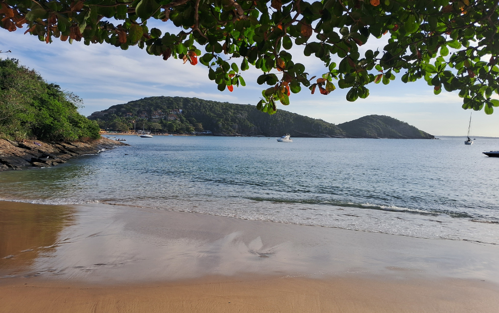 Diseño sin título (20)