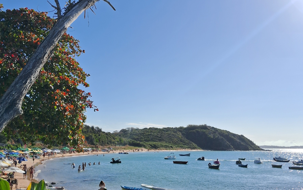 Diseño sin título (30)