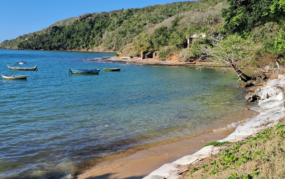 Diseño sin título (31)